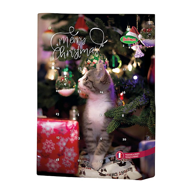 CALENDARIO ADVIENTO GATO 35-40 GR 10PCS