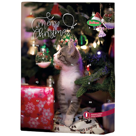 CALENDARIO ADVIENTO GATO 35-40 GR 10PCS