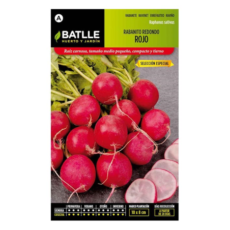 RABANITO REDONDO ROJO SEL ESPECIAL