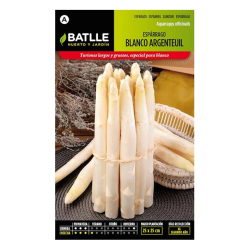 ESPARRAGO BLANCO ARGENTEUIL