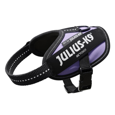 JULIUS ARNES IDC T BABY 2 PURPURA OSCURO