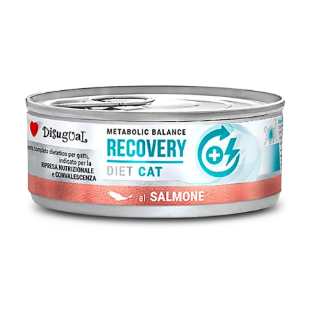DISUGUAL DIET CAT HUMEDO SALMON RECOVERY 85GR
