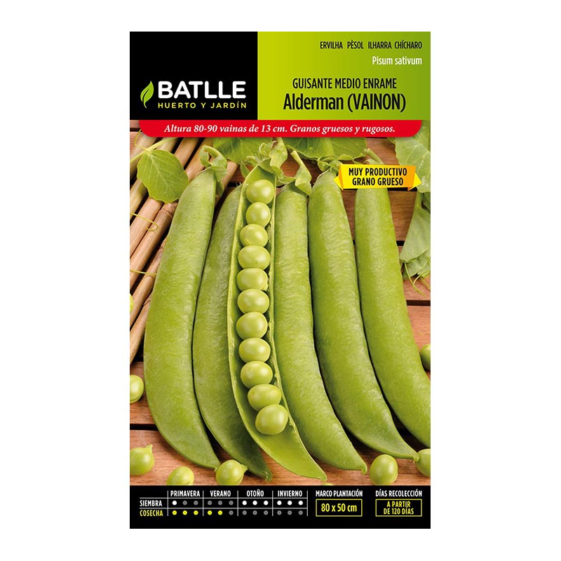 GUISANTE VAINON