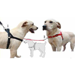 ARNES ANTI-TIRO XL A 58-68...