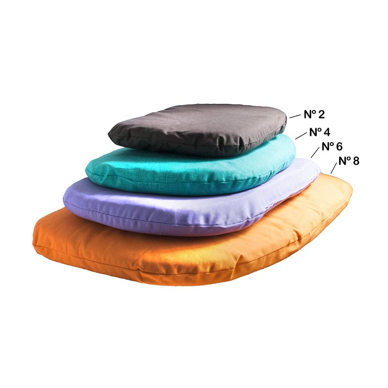 COLCHONETA POLA Nº2