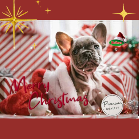 CALENDARIO ADVIENTO PERROS GOURMET CARNE 192 GR