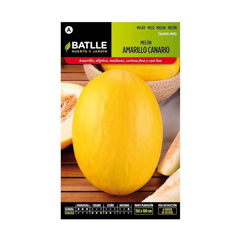 MELON AMARILLO CANARIO