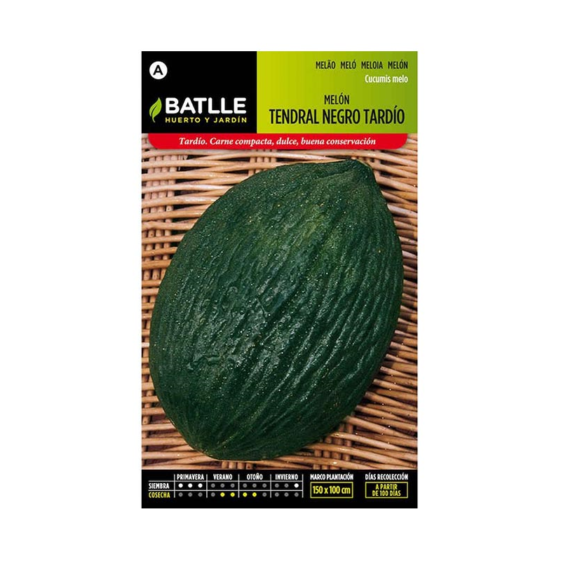 MELON TENDRAL NEGRO TARDIO
