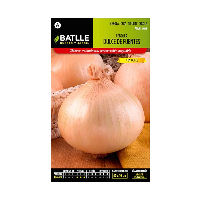 CEBOLLA DULCE DE FUENTES