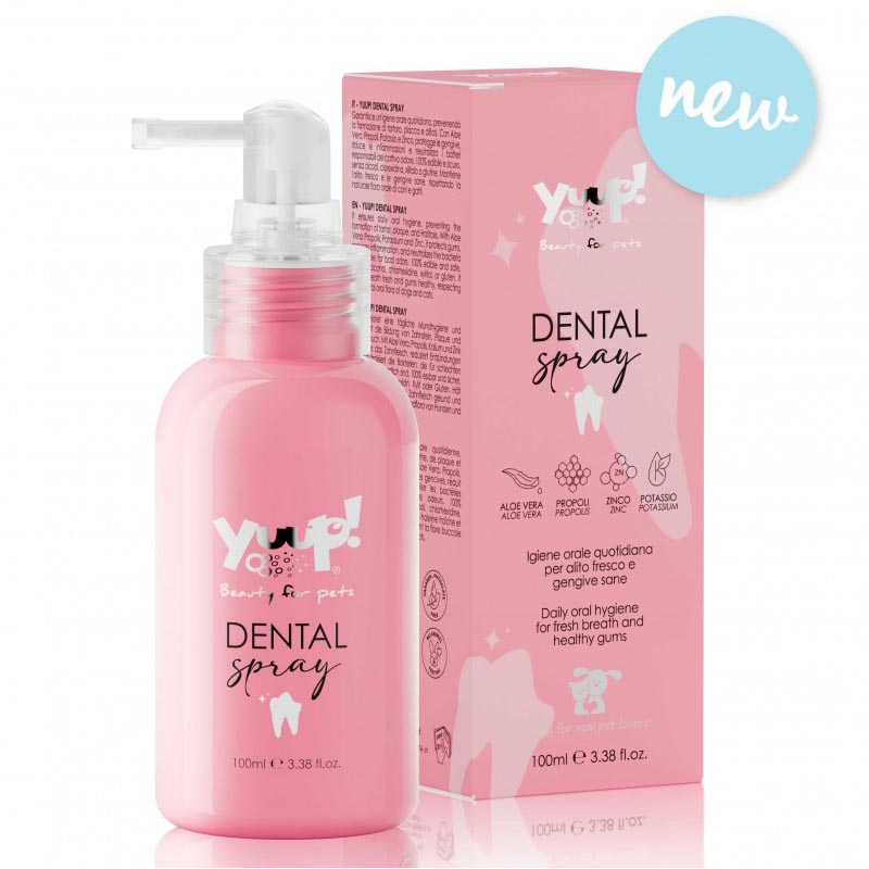 HOME DENTAL SPRAY 100 ML