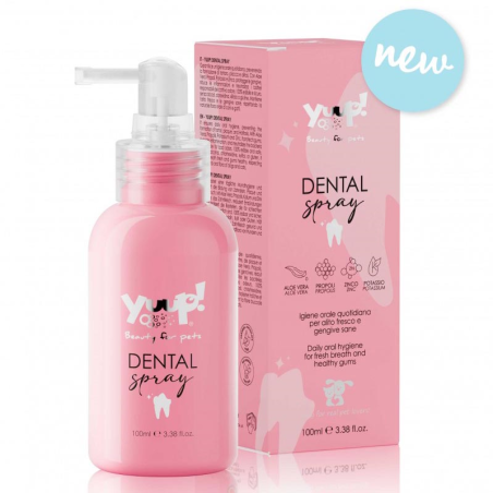 HOME DENTAL SPRAY 100 ML