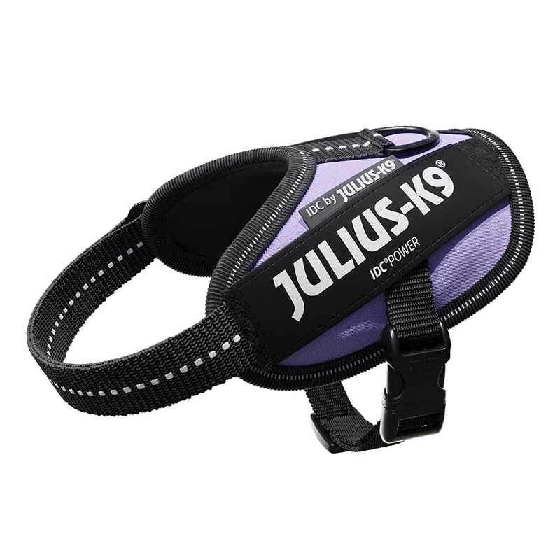 JULIUS ARNES IDC T BABY 2 PURPURA OSCURO