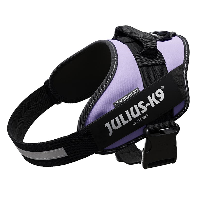 JULIUS ARNES IDC T1 PURPURA OSCURO