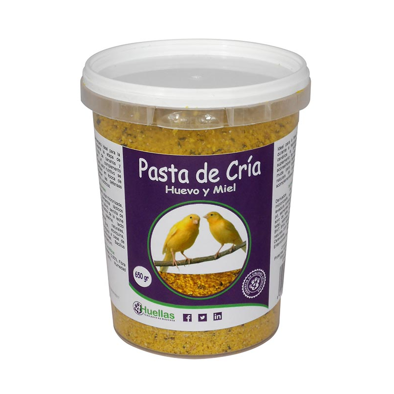 PASTA CRIA AMARILLA 650 gr. 4H