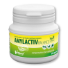 VETFOOD AMYLACTIV BALANCE 60caps