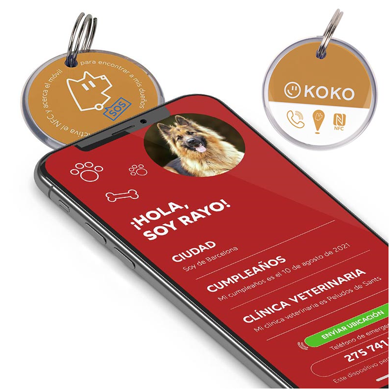 KOKO EXPOSITOR (24 CHAPAS)