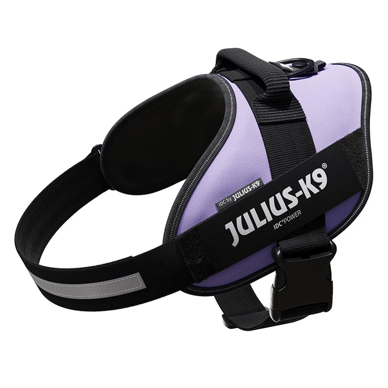 JULIUS ARNES IDC T2 PURPURA OSCURO