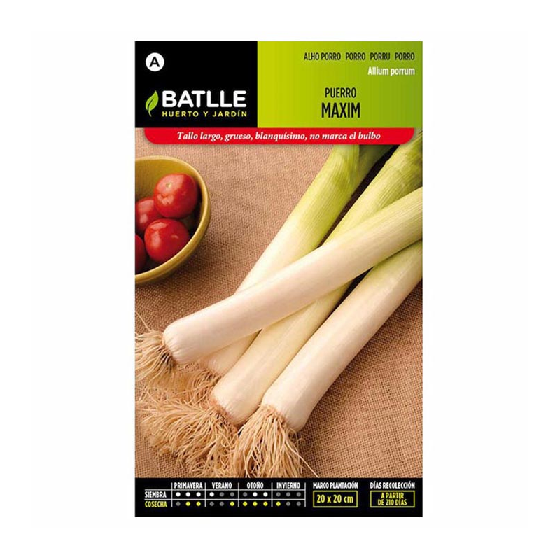 PUERRO MAXIM