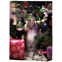 CALENDARIO ADVIENTO GATO...