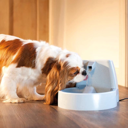 FUENTE GATOS 1.5L DRINKWELL ORIGINAL