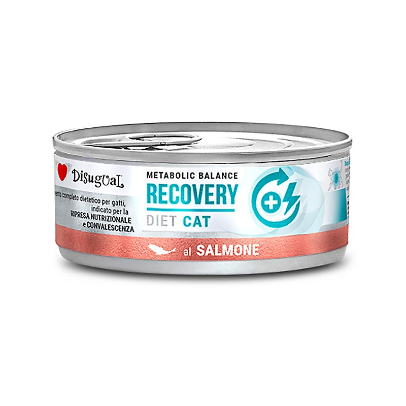 DISUGUAL DIET CAT HUMEDO SALMON RECOVERY 85GR