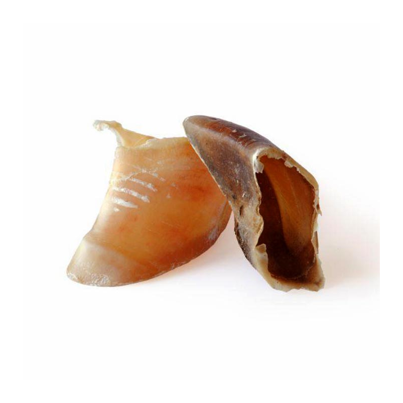 PEZUÑA DE VACA (100ud)