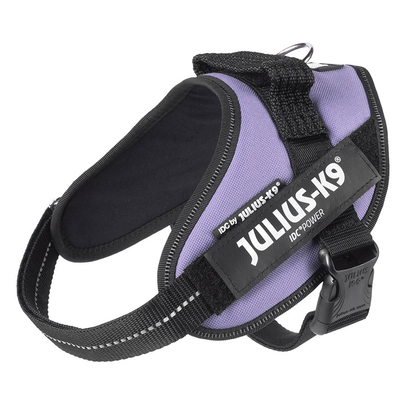 JULIUS ARNES IDC T MINI PURPURA OSCURO