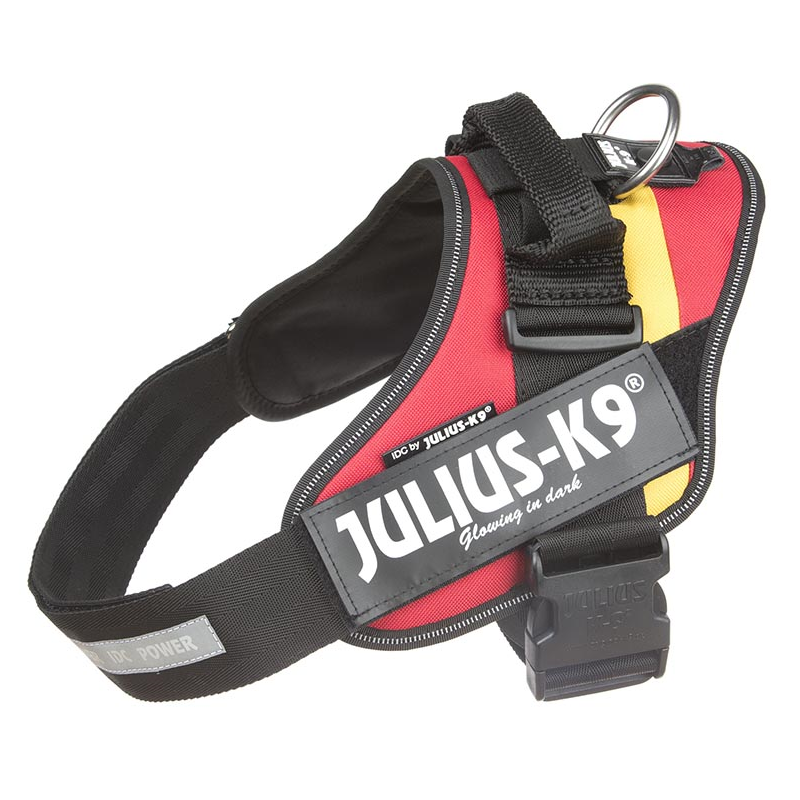 JULIUS ARNES IDC T2 ESPAÑA