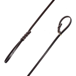 CORREA EXPOSICION...