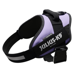 JULIUS ARNES IDC T1 PURPURA...