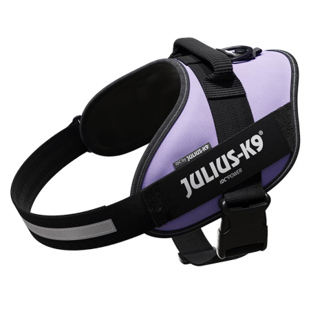 JULIUS ARNES IDC T2 PURPURA OSCURO