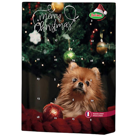 CALENDARIO ADVIENTO PERRO 70 GR 10 PCS