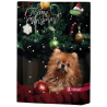 CALENDARIO ADVIENTO PERRO 70 GR 10 PCS