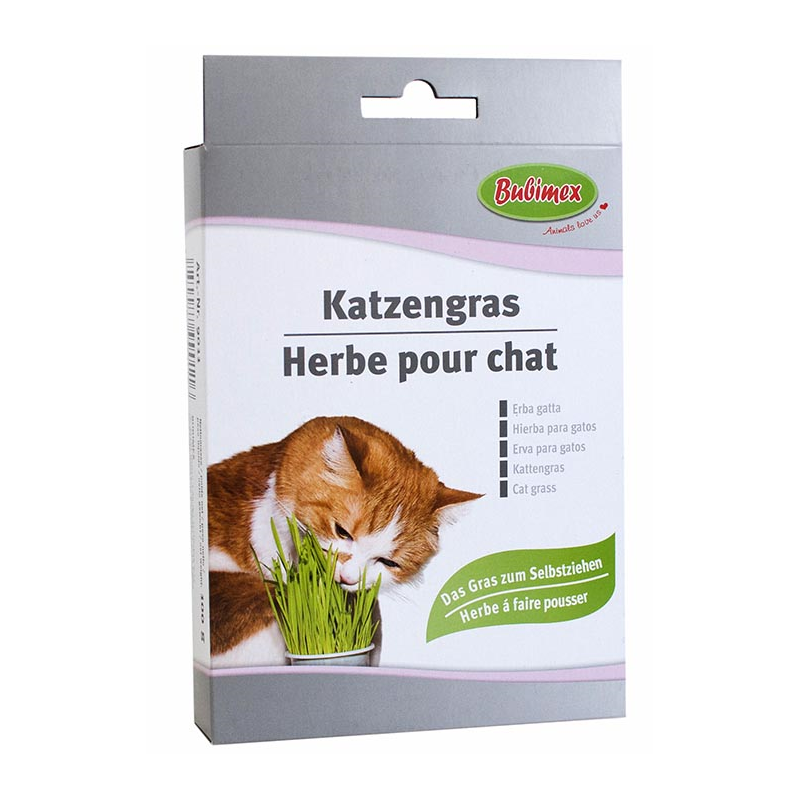 HIERBA PARA GATO 100gr