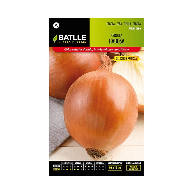 CEBOLLA BABOSA SELEC PRIMOSA