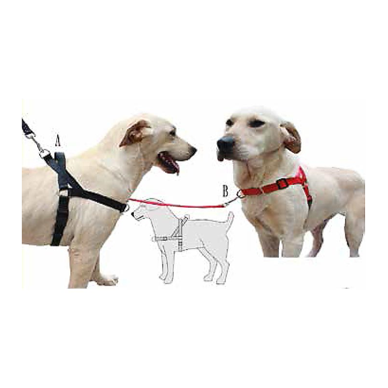 ARNES ANTI-TIRO M A 42-48 B 49-61 cm 4H