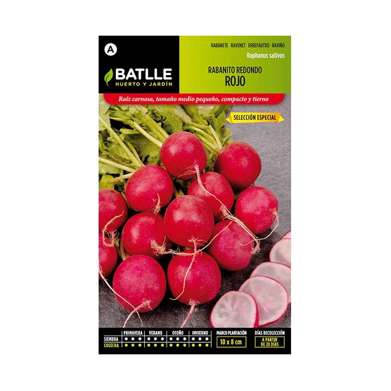 RABANITO REDONDO ROJO SEL ESPECIAL