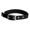 COLLAR ACOLCHADO 2.0 x 50cm NEGRO 4H
