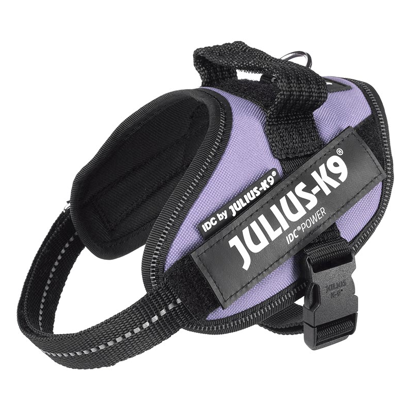 JULIUS ARNES IDC T MINI-MINI PURPURA OSCURO