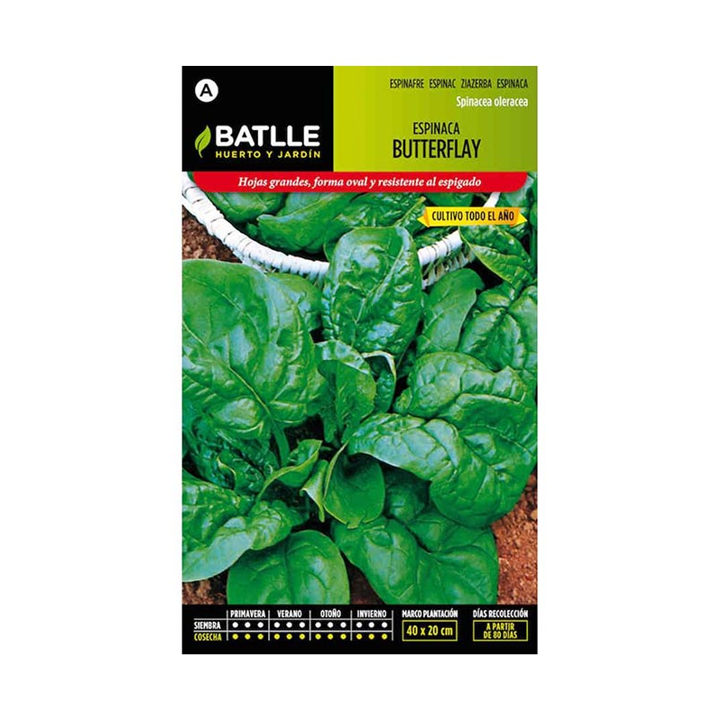 ESPINACA BUTTERFLAY 250gr