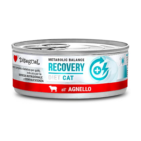 DISUGUAL DIET CAT HUMEDO CORDERO RECOVERY 85GR