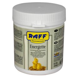 PROFESSIONAL ENERGETTE 100 GR