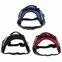 ARNES THERAPY DOG 68-88cm TL 4H
